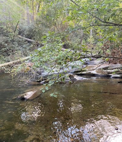 stream-blue-ridge-georgia