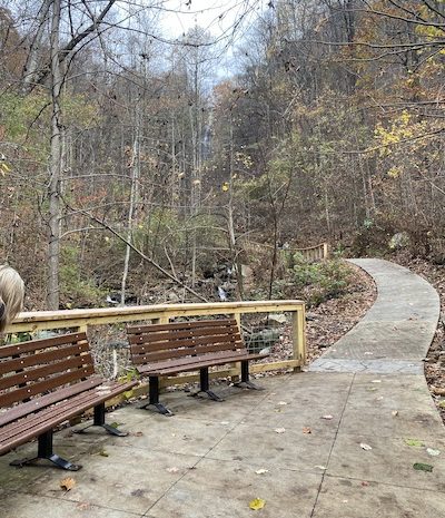 The paved walking trail to Amicalola Falls