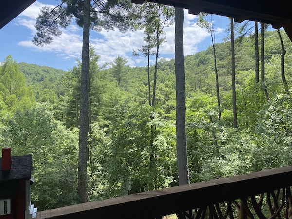 Year-round mountain views in Cherry Log, GA