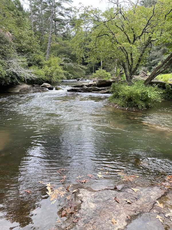 View of the Cartecay River from the loop trail