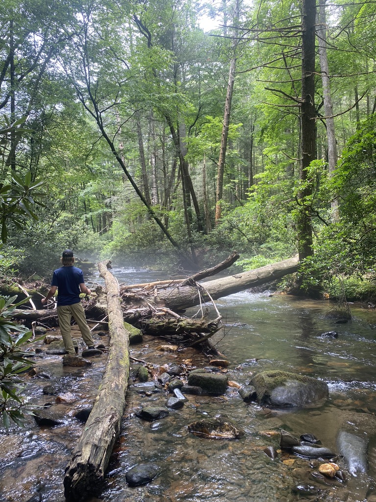 829EF130-0A64-43EE-BC28-133D90B6DA09_1_105_c 829EF130-0A64-43EE-BC28-133D90B6DA09_1_105_c