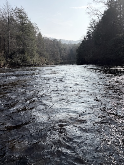 toccoa_river_fishing toccoa river fishing