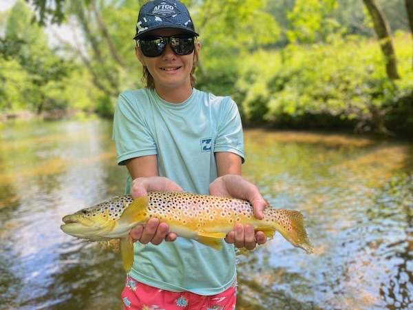 Trout fishing near Cherry Log