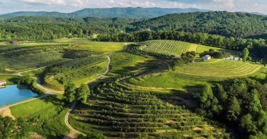 Mercier Orchards