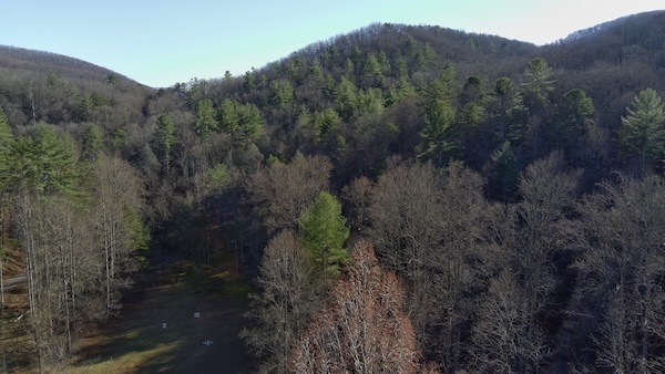 Hiking near Cherry Log